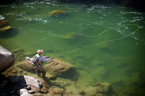 Reel 'Em In: Effective Fishing Tips for Catching More Fish