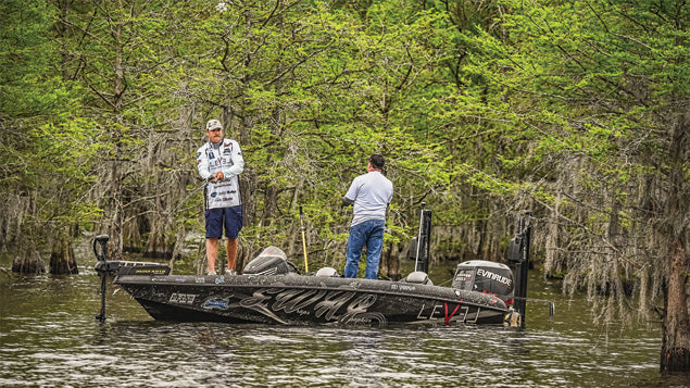 Immortal Bass Spinning Blanks